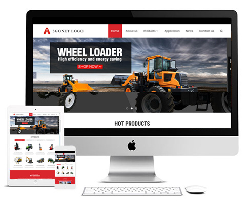 中英文网站多少钱