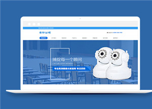 中英文网站多少钱